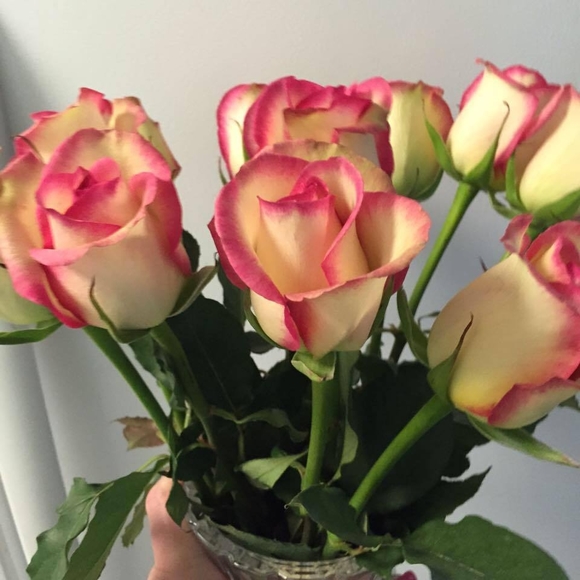 Meet your Posher, Sandi - Picture 1 of 1